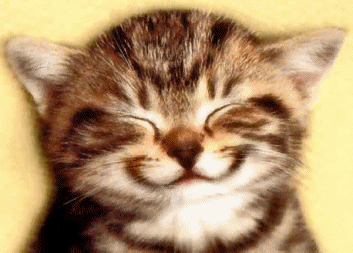 1209541114934932.gif