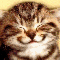 1209541114934932.gif