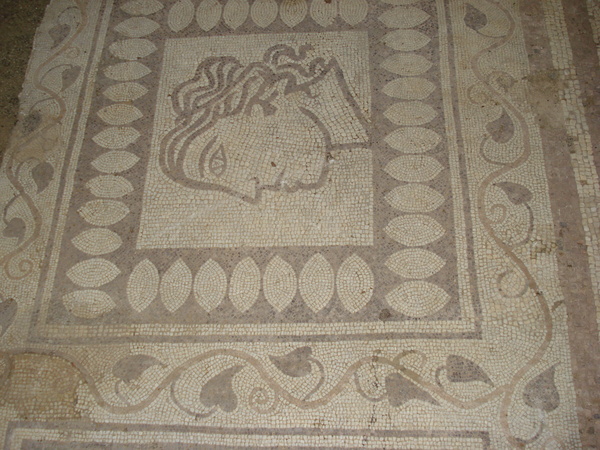 1209976869555659.jpg