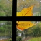 1210179112460560.jpg