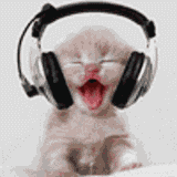 1212326890205103.gif
