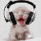 1212326890205103.gif