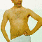 1212698995896879.gif