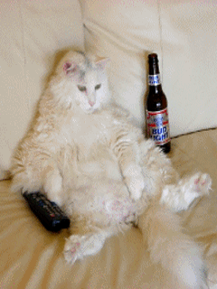 1213298269413438.gif