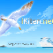 1214819947657285.gif