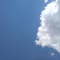 1215698926585870.jpg