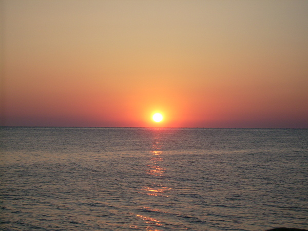 1216649975159573.jpg