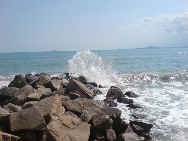 1220131000912560.jpg