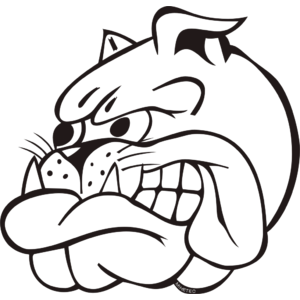 1220196370419567.png