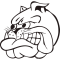 1220196370419567.png