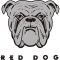 1220196439800922.png