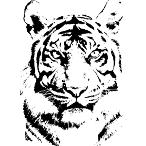 1220196874508089.png