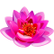 1220197049319795.png