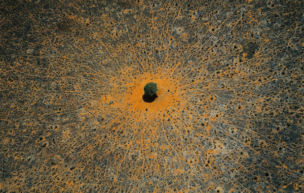 1223546151136766.jpg