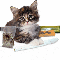 1224534471111308.gif