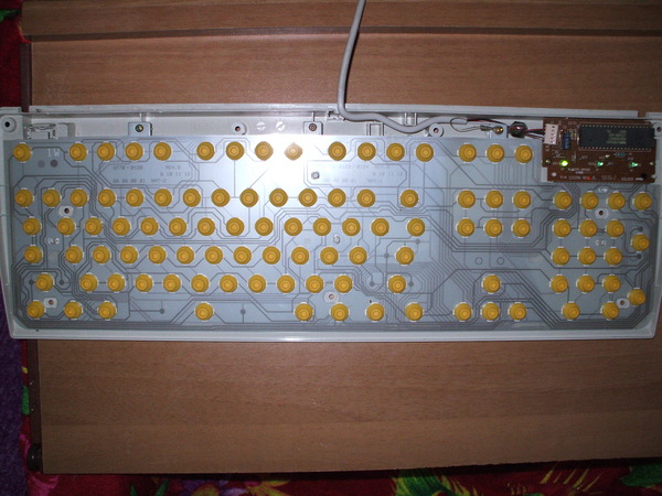 1225827413128362.jpg