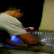 1226325207363931.gif