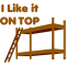 1228927381116817.png