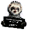 1229758403478991.gif