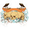 1232363587867715.png