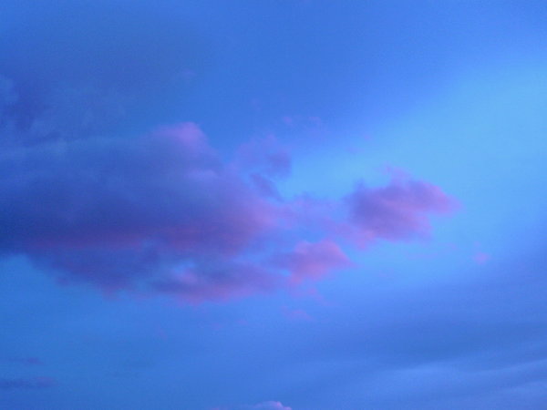 1233157413858712.jpg