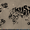 1233318123595068.gif