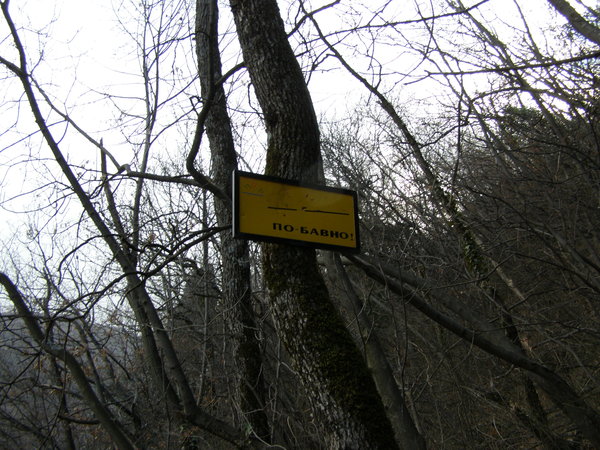 1234133101214246.jpg