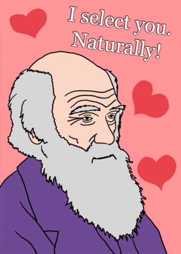 1234570165477242.gif