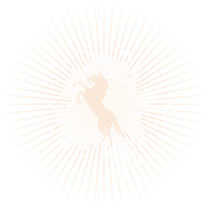 1235581983236432.png