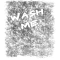 1236699781216509.png
