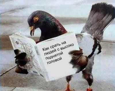 1237919397856203.jpg