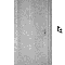 1238969368542961.gif