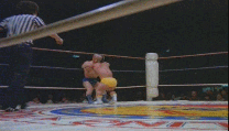 1239607433288410.gif