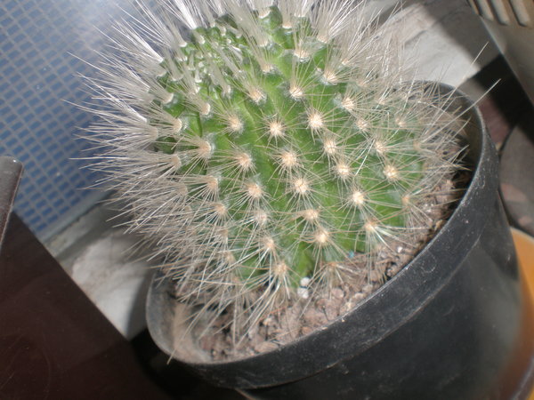 1240855812331541.jpg