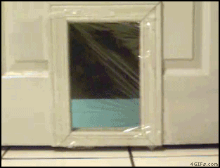 1242437547161336.gif