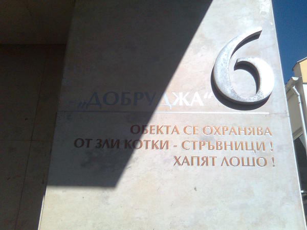 1245689810816612.jpg