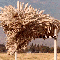 1246884255757365.gif