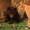 1247597943440615.gif