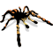 1248959583542655.png