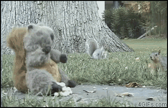 1249566400734374.gif