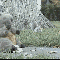 1249566400734374.gif