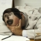 1250176482346425.jpg