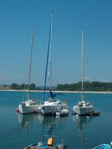 1250621149662450.jpg