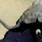 1250843080672452.gif