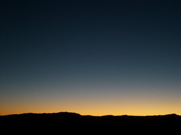 1251200318457832.jpg