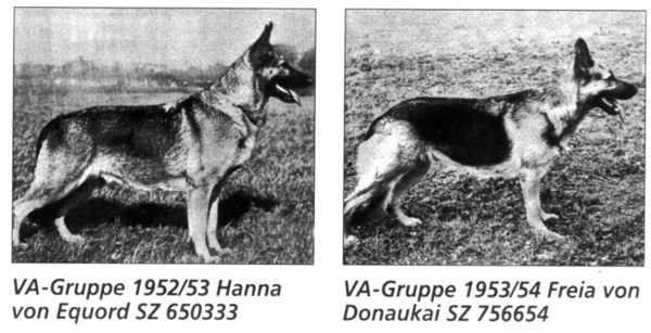 1251367876819682.jpg