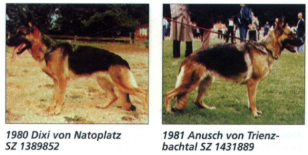 1251368074478984.jpg