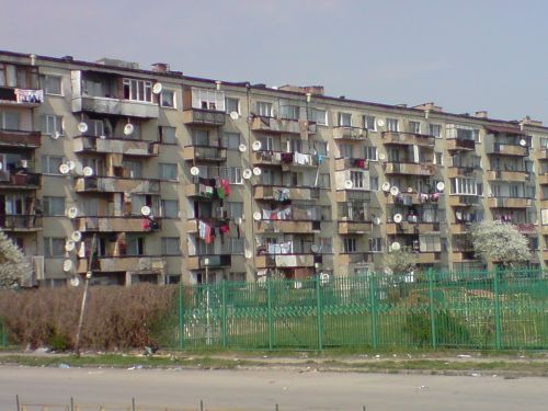 1252179308682056.jpg