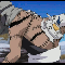 1252190612221992.gif