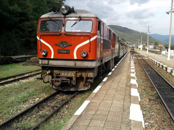 1253036452652329.jpg